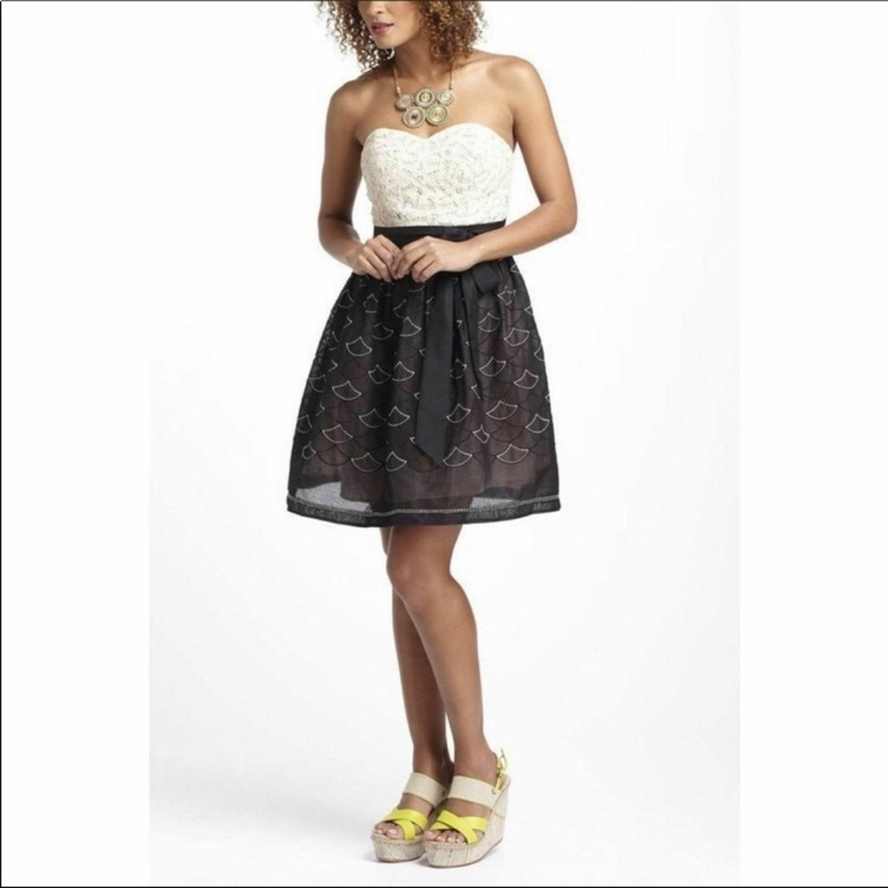 Anthropologie Battenberg and Organdy dress